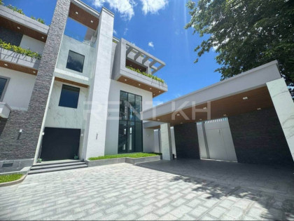 Single Villa for Rent at Chbar Ampov, St Tiger Villa in Phnom Penh Capital